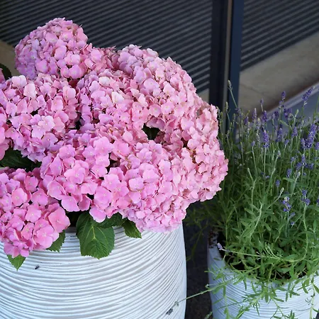 דירה Valentin Design