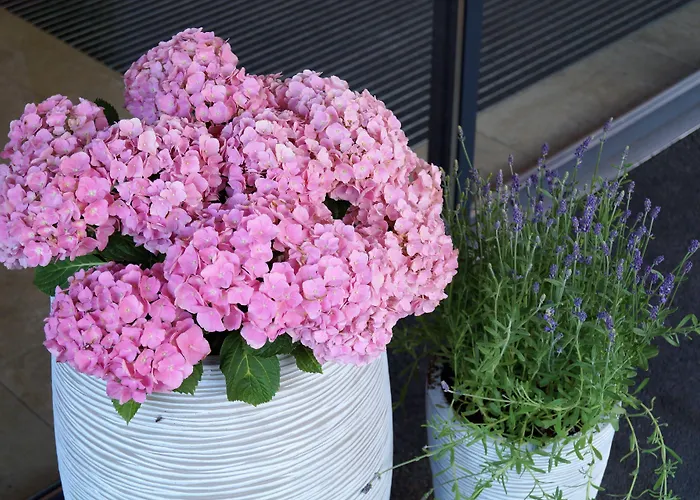 アパート Valentin Design